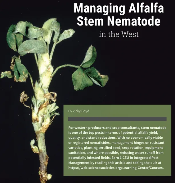 Screenshot 2024-02-21 at 9.32.55?AM