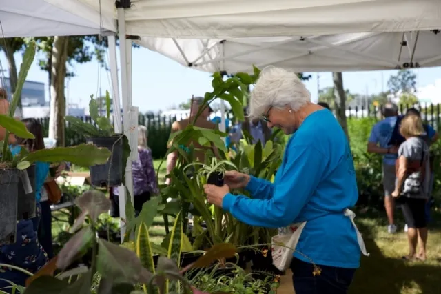 Carol Graham atiende el puesto 