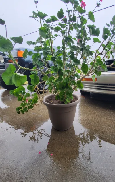 photo by Lindi Houser