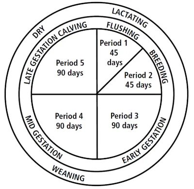 Figure 1 Reproductive Cycle