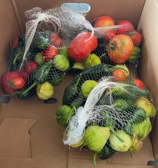 USDA_2024_PeppersTomatoes_GrownByFarmToFightHunger_HarvestedPackagedByFarmtoPantry_Healdsburg_2022_July_PhotoBy_MimiEnright