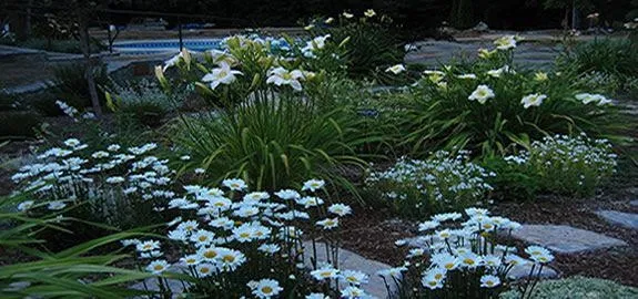 Moon Garden, Pinterest.com