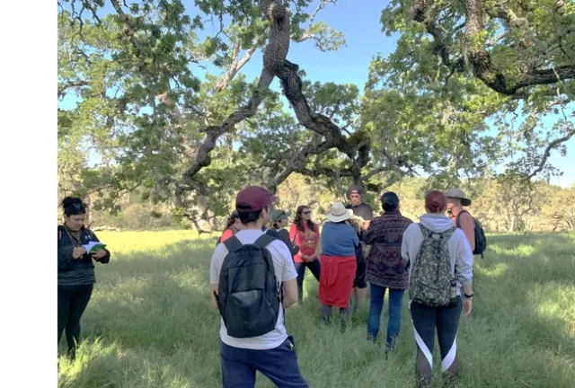 Nine people gather around a person speaking beneath a blue oak tree under a blue sky.