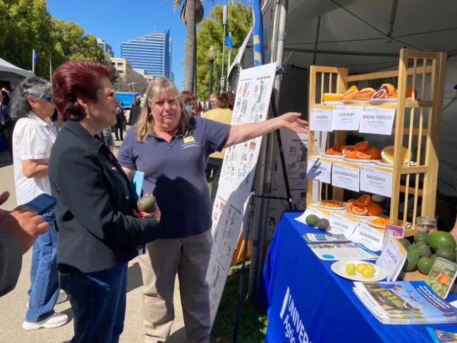 Anna Caballero, left, looks at array of citrus as Tammy describes the varieties.