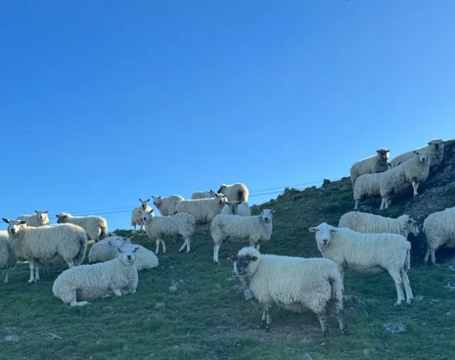 Photo Mar 17 2024, 9 12 27 AM