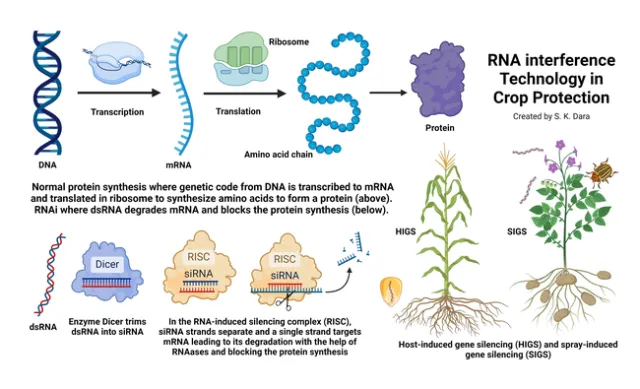 RNAi Technology in Crop Protection-S. K. Dara