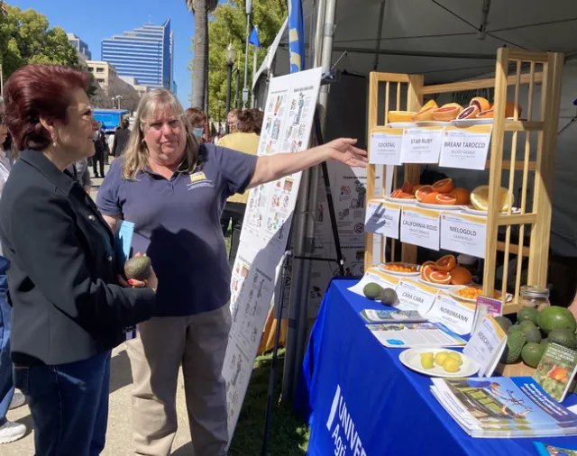 Anna Caballero, left, looks at the citrus varieties as Tammy Majcherek gestures toward the fruit.