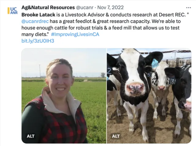 Brooke is pictured next to a photo of black and white cows.
