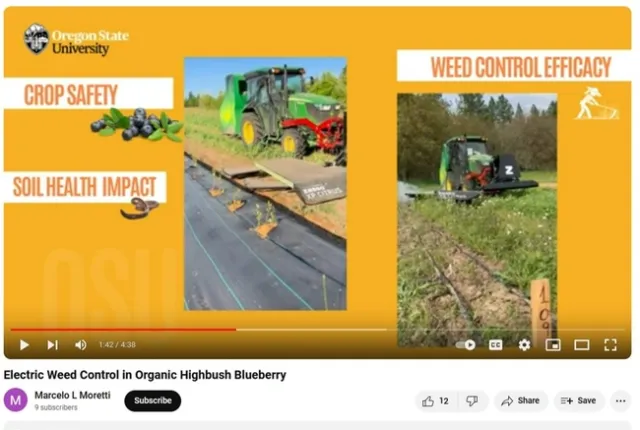 OSU elec weed control in blueberry