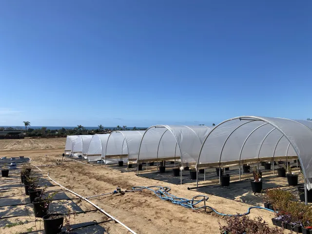 Our urban agriculture demonstration site at the Carlsbad Flower Fields.