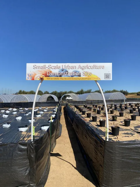 The entrance to our demonstration site with the outdoor area in the foreground and the high tunnels in the background.