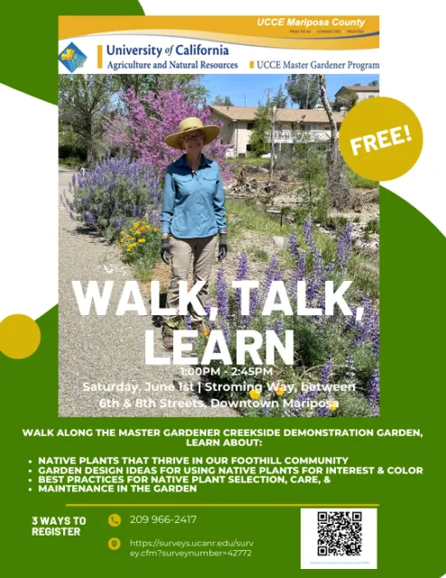 2024-06-01 Walk, Talk and Learn Flyer