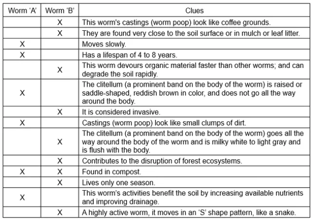 Table of information