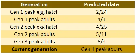 202404)3 3rd report table