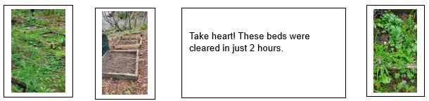 Planters with weeds.