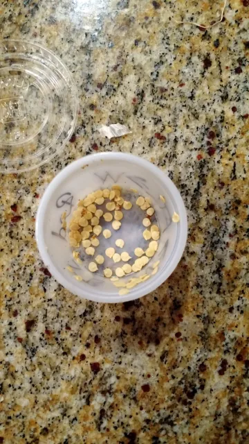 Scotch Bonnet OG seeds