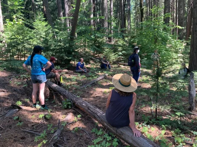 Forest Stewardship workshop participants at an El Dorado County field day. Credit: K.Ingram.