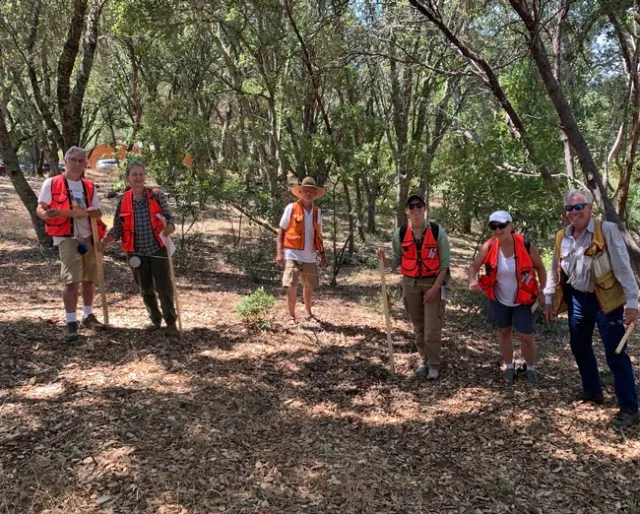CA Tree School aims to reach both oak woodland and mixed conifer forest landowners. Credit: K.Ingram.