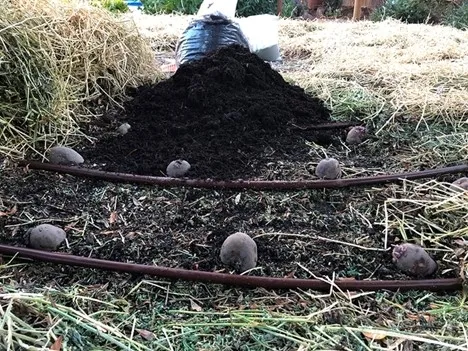 photo by Alex Russell