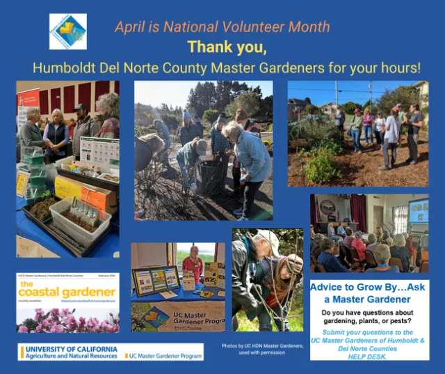 images of people working