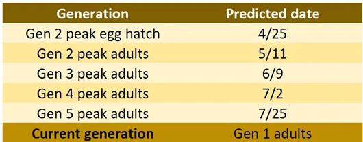 20240415 4th report table