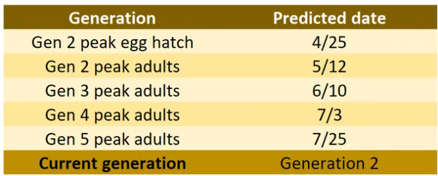 20240429 5th report table