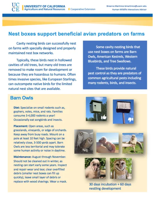 Nest box factsheet 1
