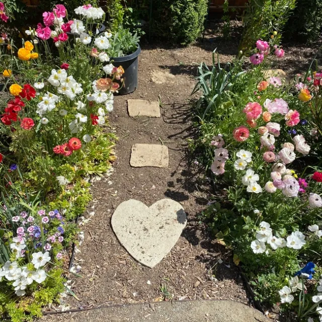 photos by Erin Mahaney