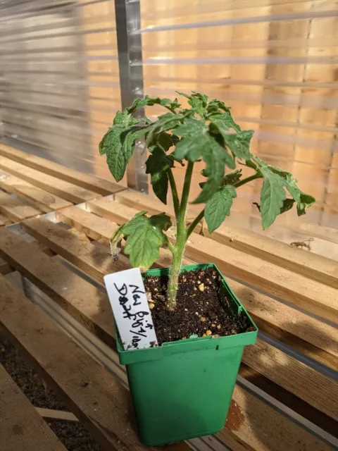 PXL 20210429 232049664