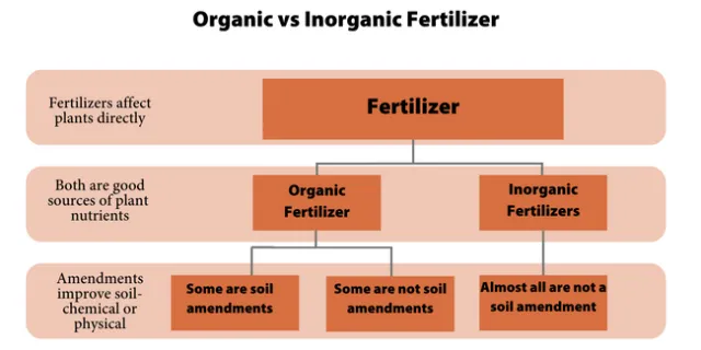 Organic vs Inorganic Fertilizer