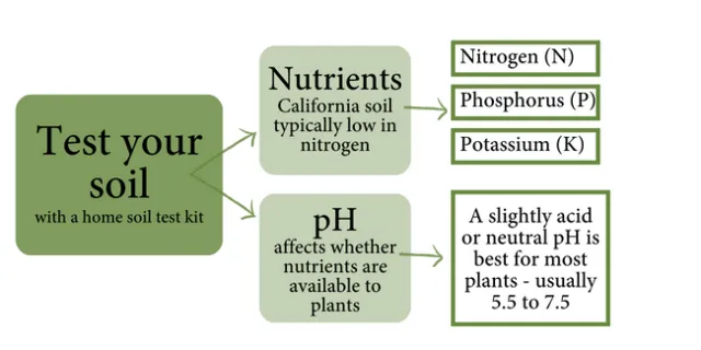 Test your soil