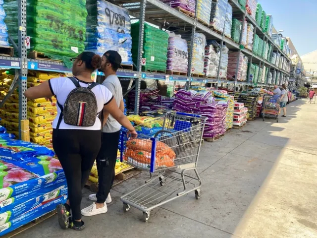 A wide array of potting soil mixes are available in big box stores and nurseries. (Photo: Jeannette Warnert)