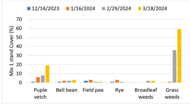 Figure 3. Cover crop mix 1 stand and weed cover during the 2023-2024 winter season.