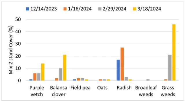 Figure 4. Cover crop mix 2 stand and weed cover during the 2023-2024 winter season.