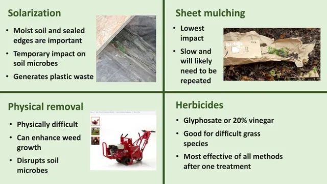 List of options for turf removal