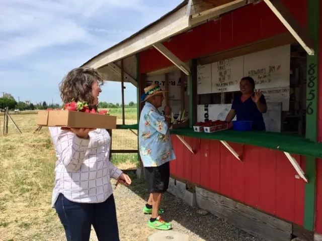 Lloyd holds a flat of strawberries in one hand as she speaks to the woman at the farm stand.