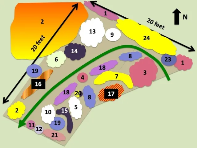 Pollinator garden planting plan