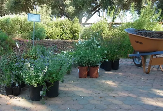 Picture of a garden being planted