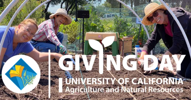 Three women working in a raised bed. Text overlay reads UC ANR Giving Day