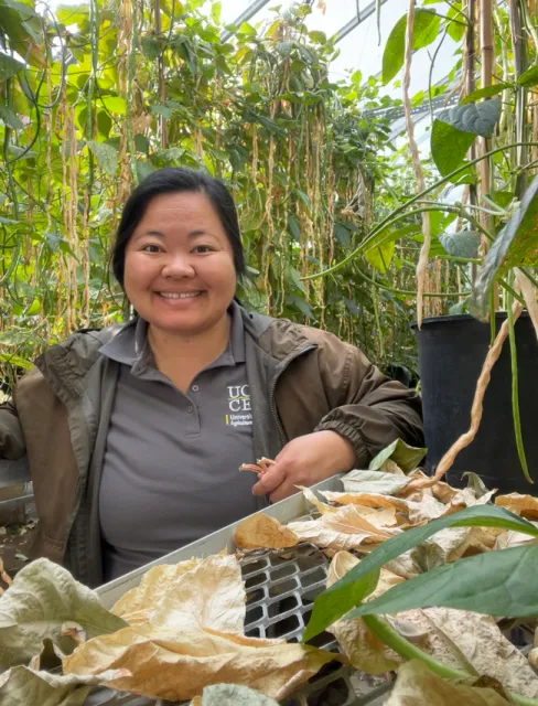 Lilian poses with a long bean varietal project.