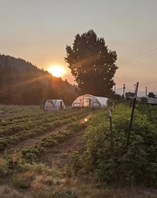 LSFP Farm[1]