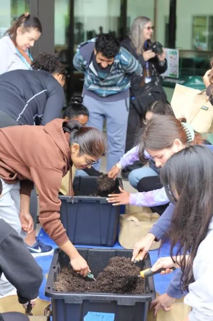 Students reach into a bin filled with soil so that they can fill their grow bags.