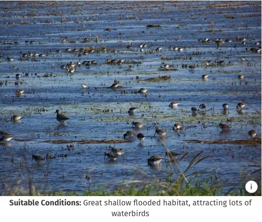 Screenshot 2024-05-15 at 2.37.53?PM copy