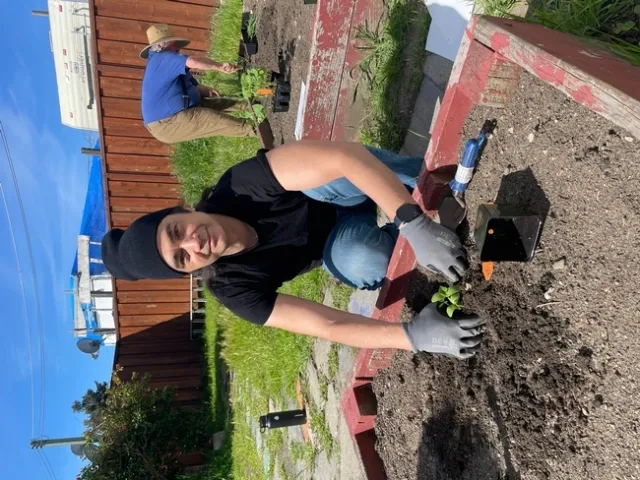 Fairbee espera que, después de que los residente dejen el Proyecto para Indigentes South County sigan cultivando verduras frescas para consumir una dieta nutritiva y tener una mejor salud. Fotografía por Max Fairbee.