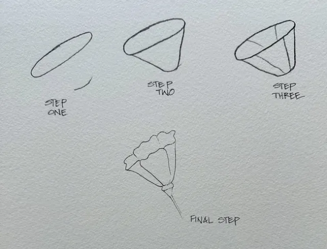 All drawings by Lisa Rico