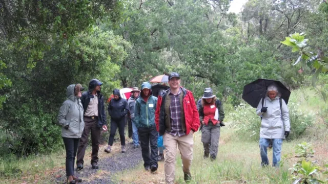 UC ANR Forestry Advisor Mike Jones leads participants in a field class on oak woodland ecosystems. Credit: G.Dean..