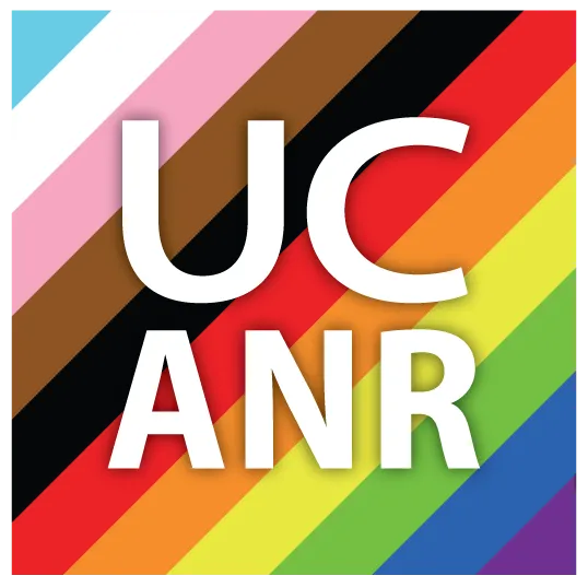 LGBTQ+ square image with all the colors of inclusion