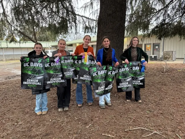 5 youth stand in a row holding posters of their contest placement