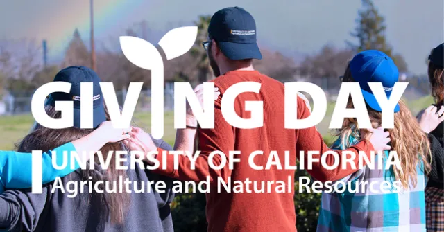 Backs of people wearing UC ANR hats backwards with a rainbow on the left side.