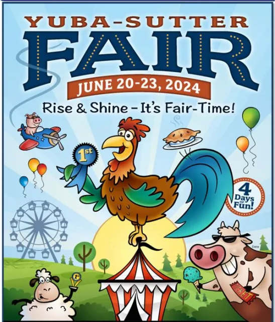 Fair 2024